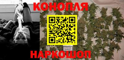 дмт Новокубанск