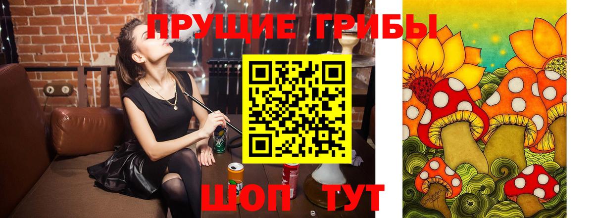 Галлюциногенные грибы ЛСД Сухой Лог