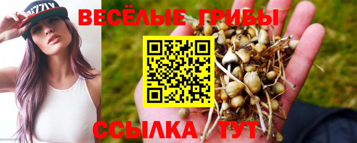 Сухой Лог  Псилоцибиновые грибы мухоморы  Псилоцибиновые грибы мухоморы  Вход с VPN 